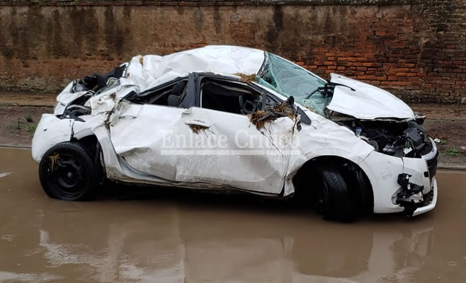 El Diario de San Pedro | Noticias locales y regionales