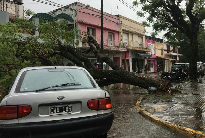 El Diario de San Pedro | Noticias locales y regionales