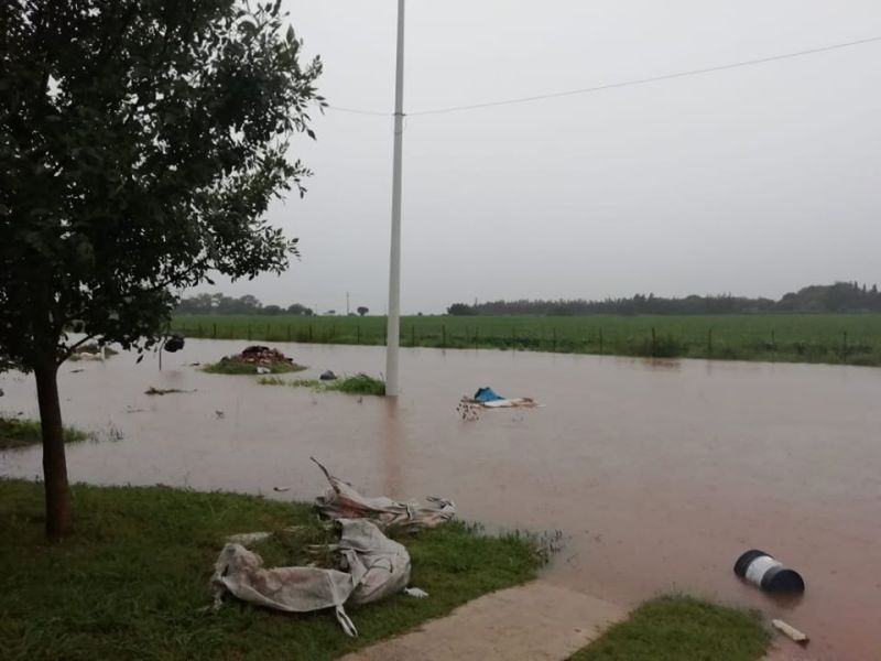 El Diario de San Pedro | Noticias locales y regionales