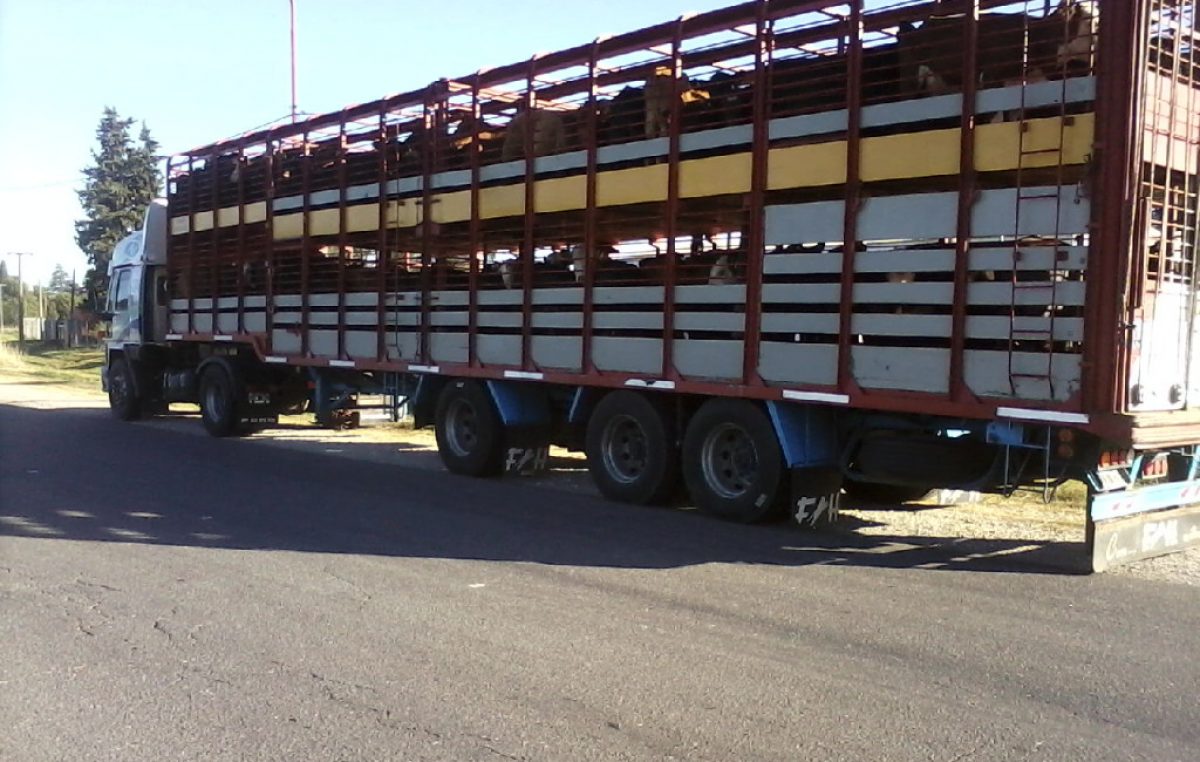 El Diario de San Pedro | Noticias locales y regionales