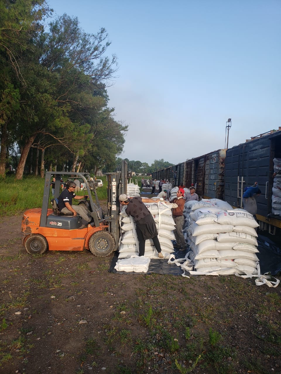 El Diario de San Pedro | Noticias locales y regionales