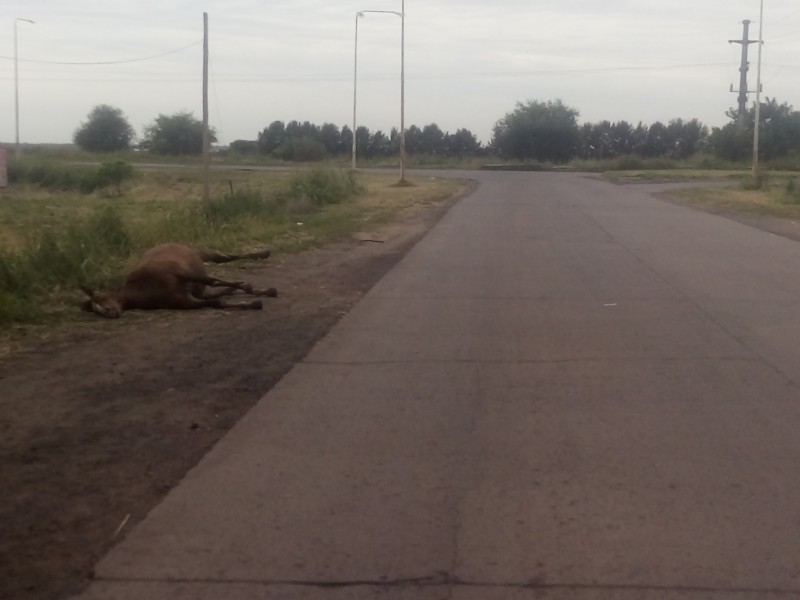 El Diario de San Pedro | Noticias locales y regionales