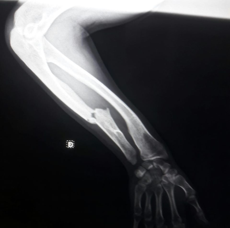 El Diario de San Pedro | Noticias locales y regionales