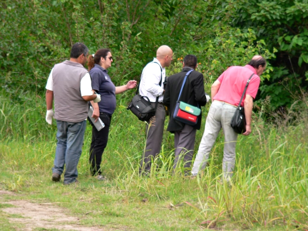 El Diario de San Pedro | Noticias locales y regionales