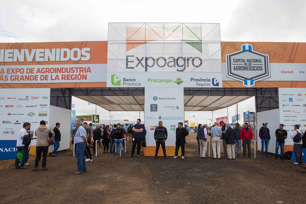 El Diario de San Pedro | Noticias locales y regionales