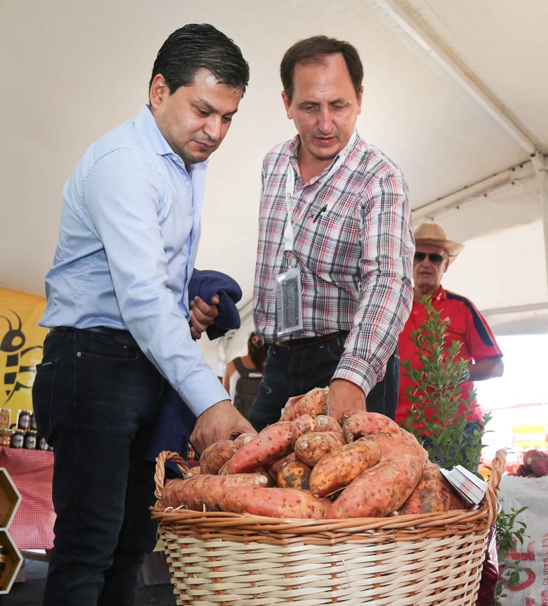 El Diario de San Pedro | Noticias locales y regionales