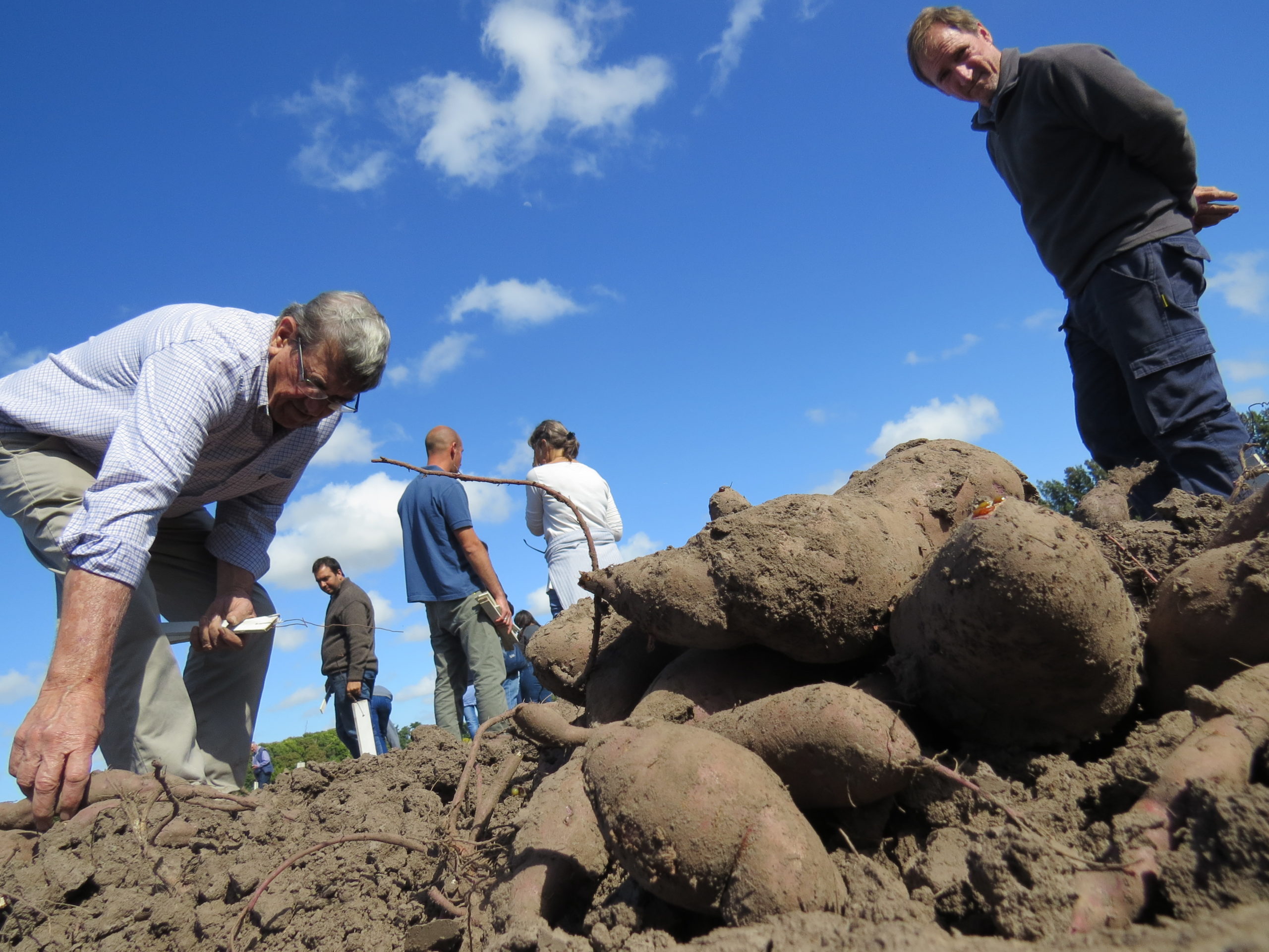 El Diario de San Pedro | Noticias locales y regionales