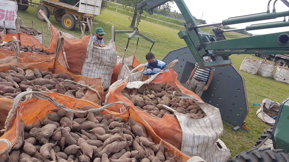 El Diario de San Pedro | Noticias locales y regionales