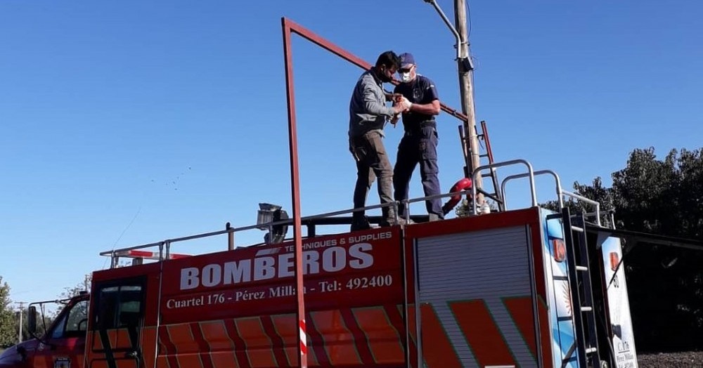 El Diario de San Pedro | Noticias locales y regionales