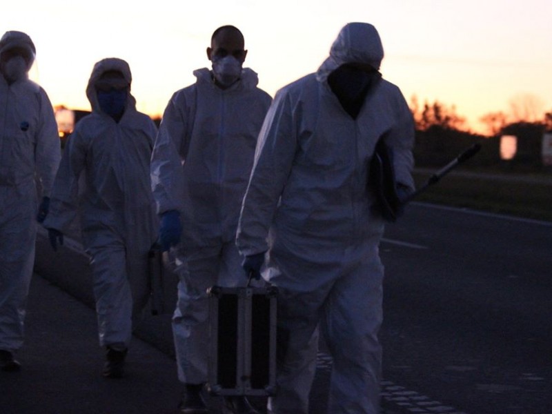 El Diario de San Pedro | Noticias locales y regionales