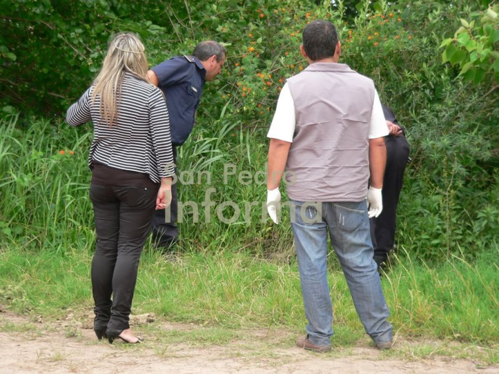 El Diario de San Pedro | Noticias locales y regionales