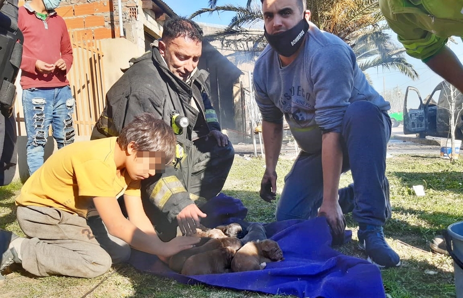 El Diario de San Pedro | Noticias locales y regionales