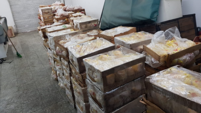 El Diario de San Pedro | Noticias locales y regionales