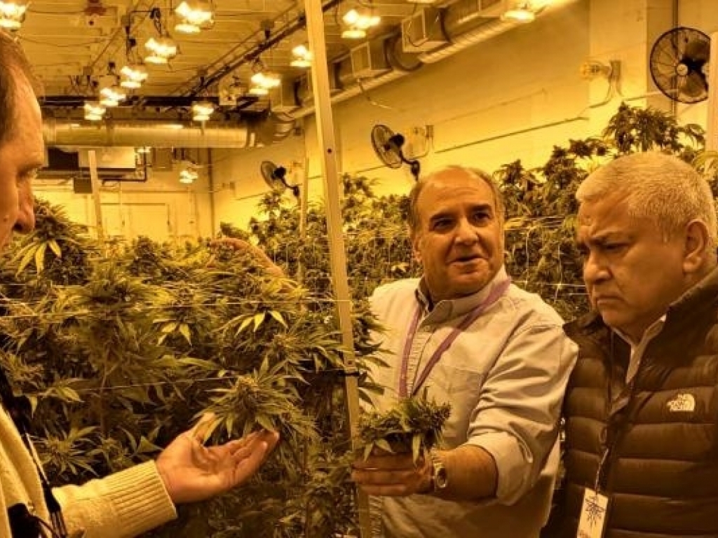 El Diario de San Pedro | Noticias locales y regionales