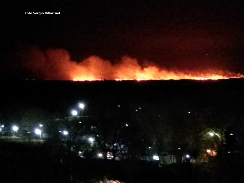 El Diario de San Pedro | Noticias locales y regionales