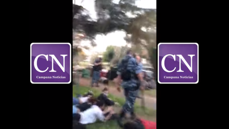 El Diario de San Pedro | Noticias locales y regionales