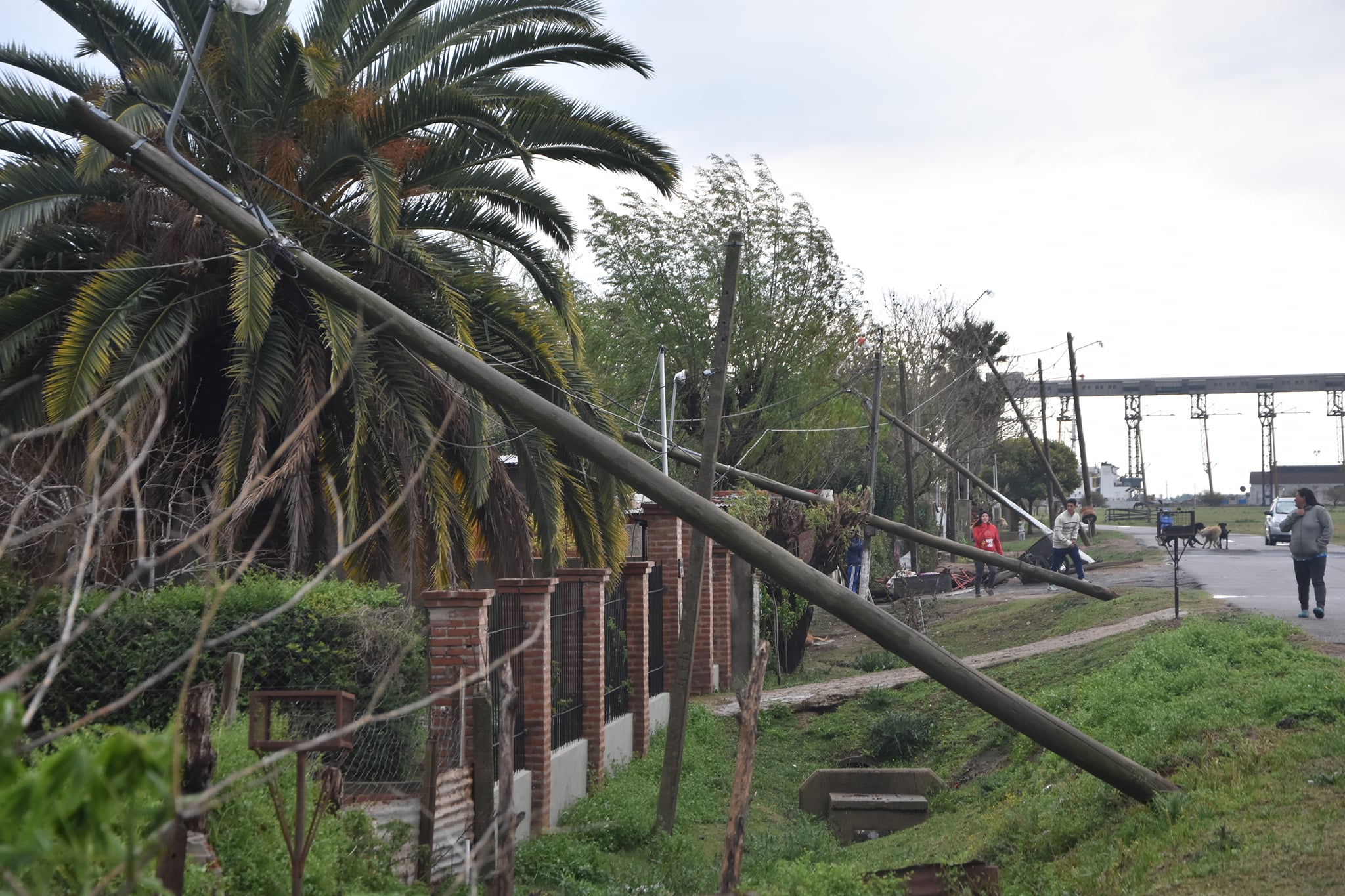 El Diario de San Pedro | Noticias locales y regionales