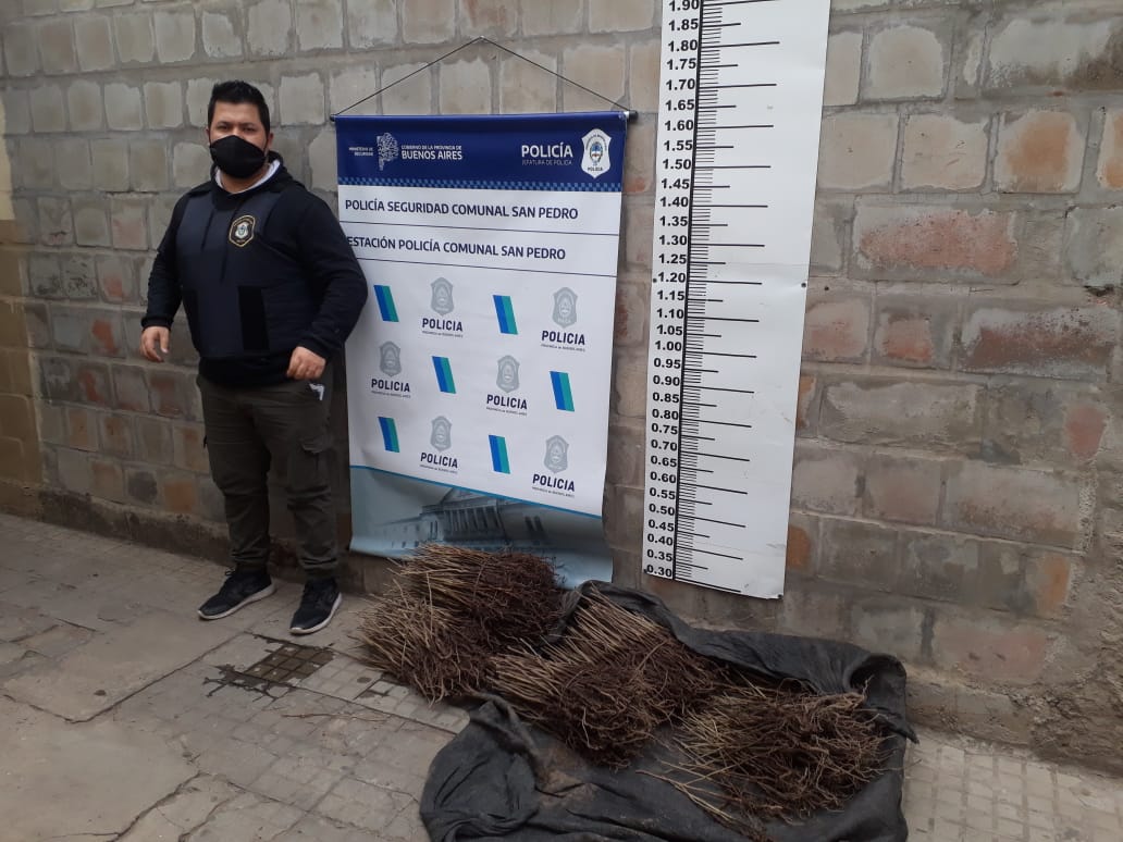 El Diario de San Pedro | Noticias locales y regionales