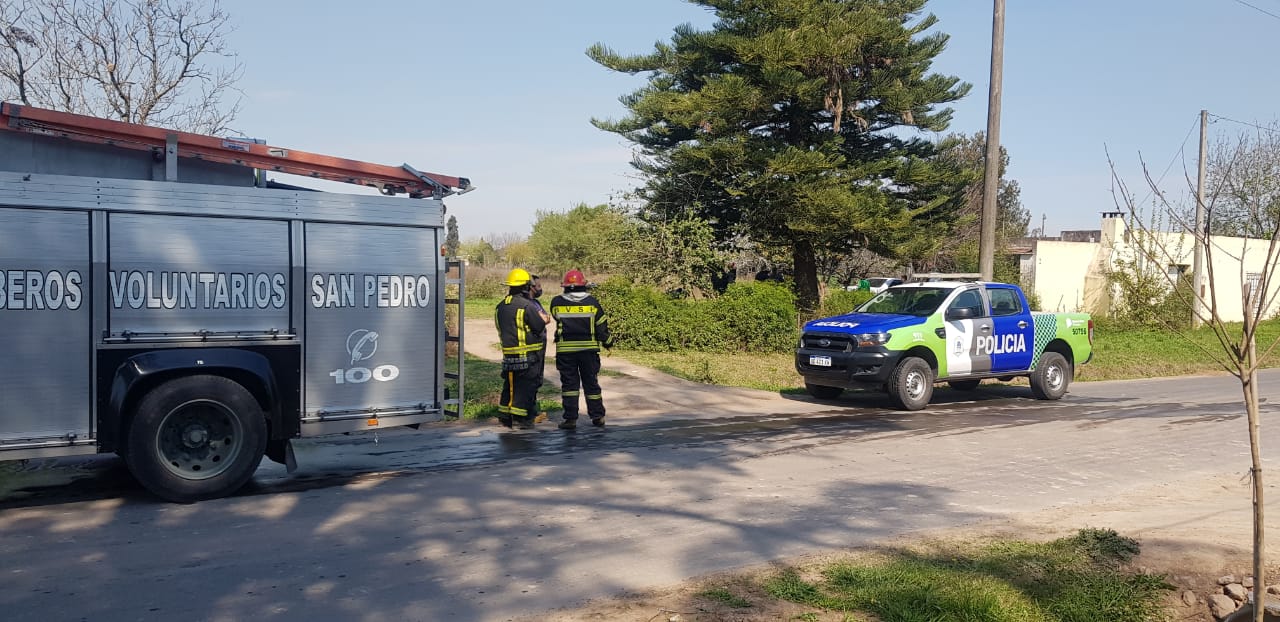 El Diario de San Pedro | Noticias locales y regionales