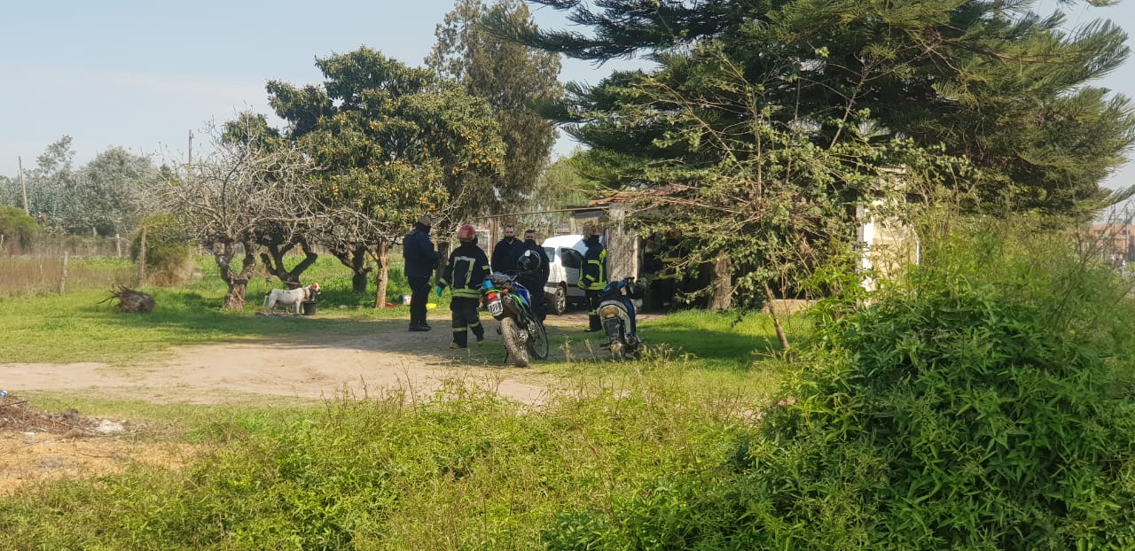 El Diario de San Pedro | Noticias locales y regionales