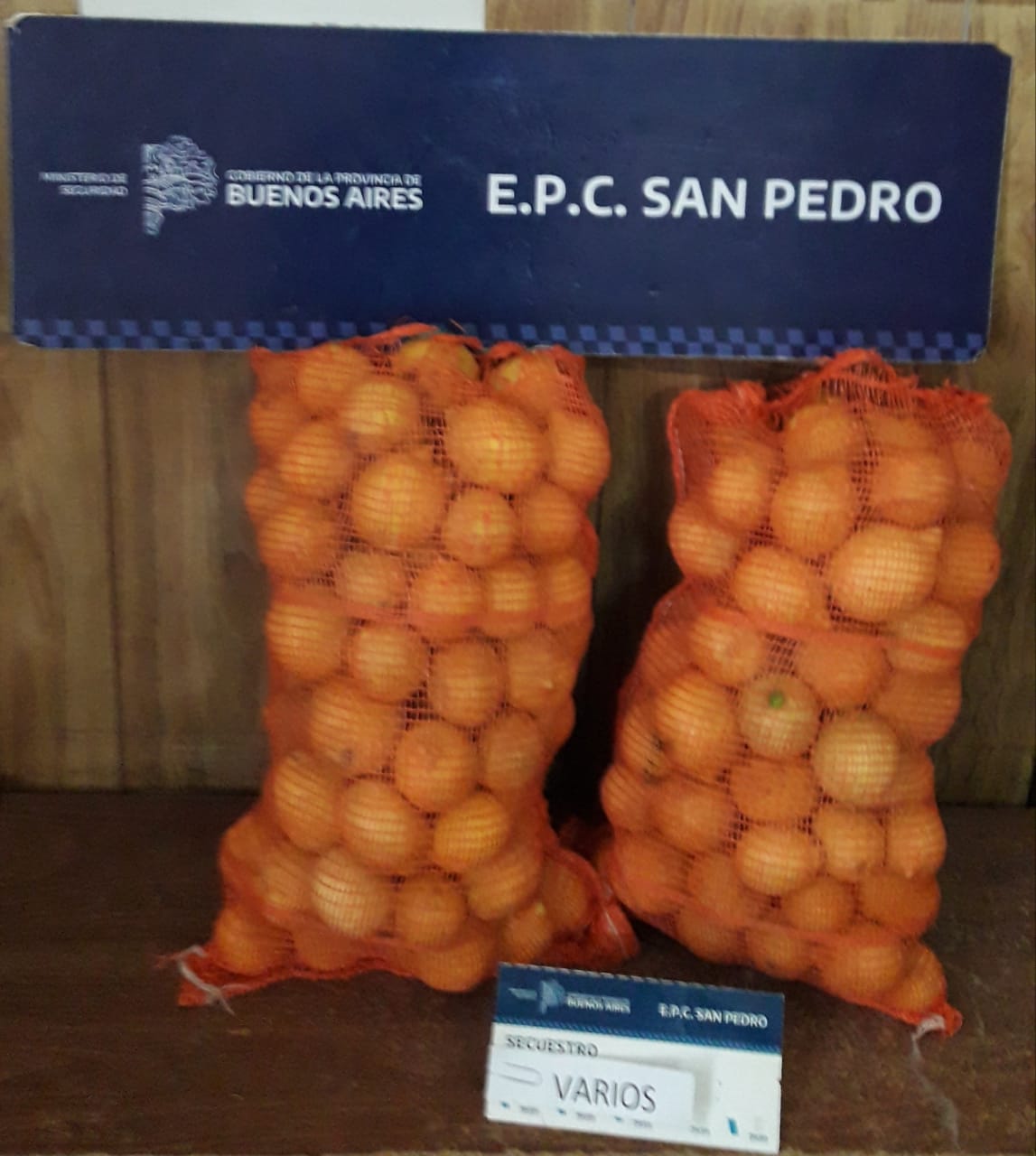 El Diario de San Pedro | Noticias locales y regionales