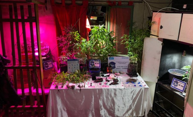 El Diario de San Pedro | Noticias locales y regionales