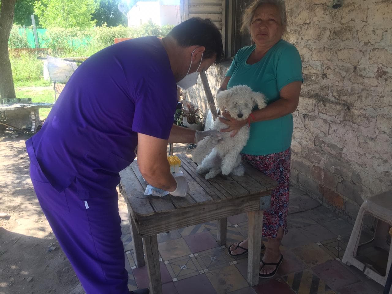 El Diario de San Pedro | Noticias locales y regionales