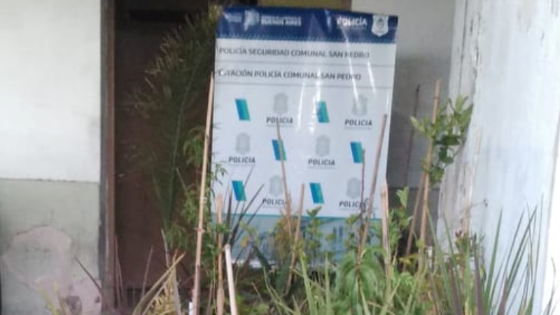 El Diario de San Pedro | Noticias locales y regionales