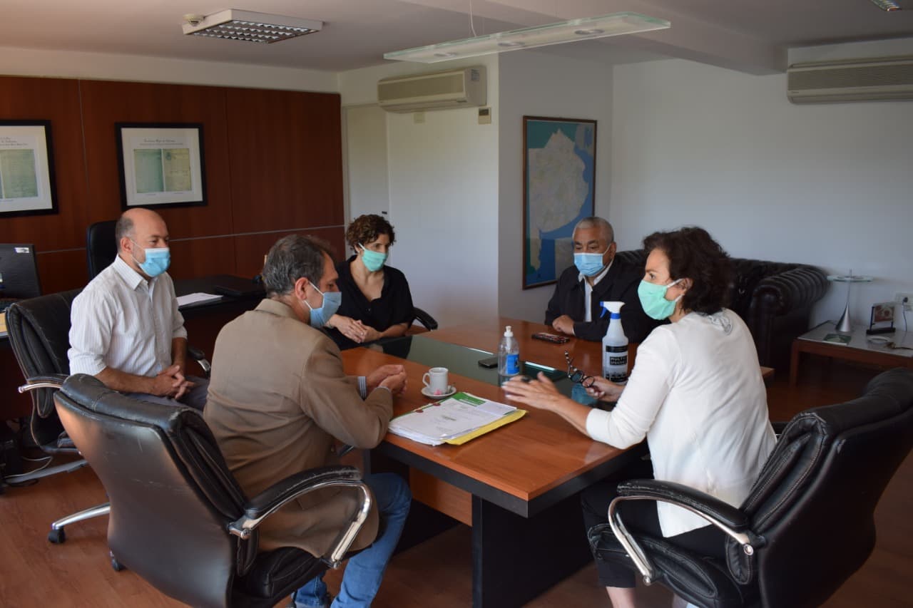 El Diario de San Pedro | Noticias locales y regionales