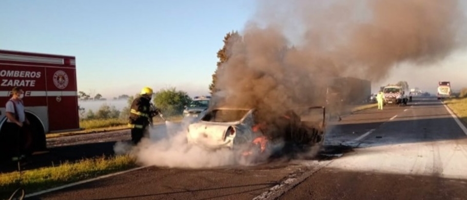 El Diario de San Pedro | Noticias locales y regionales