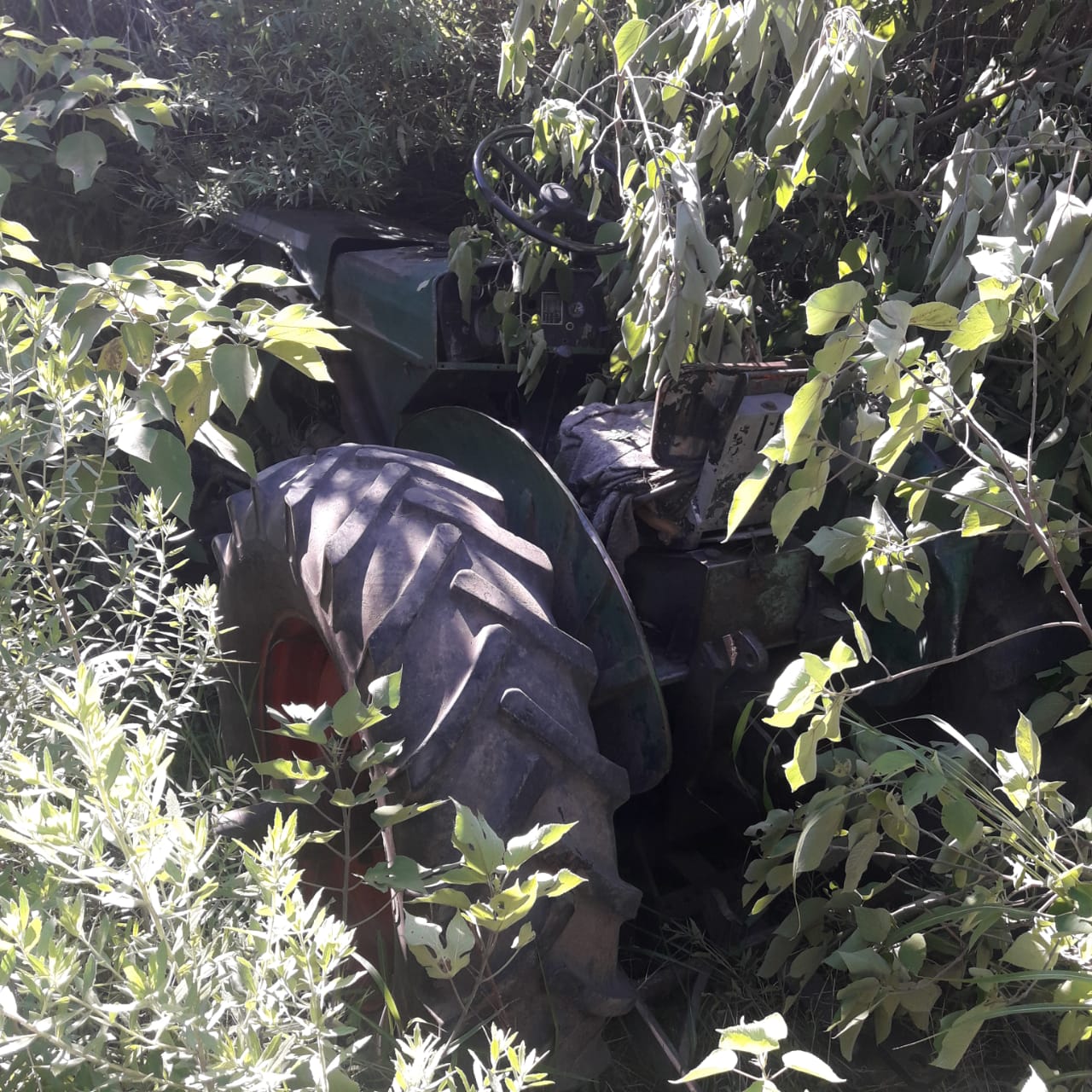 El Diario de San Pedro | Noticias locales y regionales