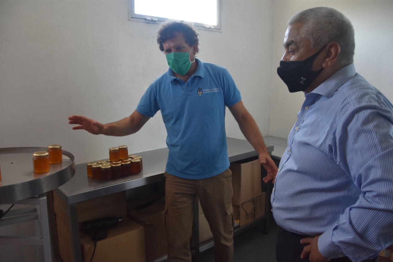 El Diario de San Pedro | Noticias locales y regionales