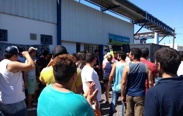 El Diario de San Pedro | Noticias locales y regionales