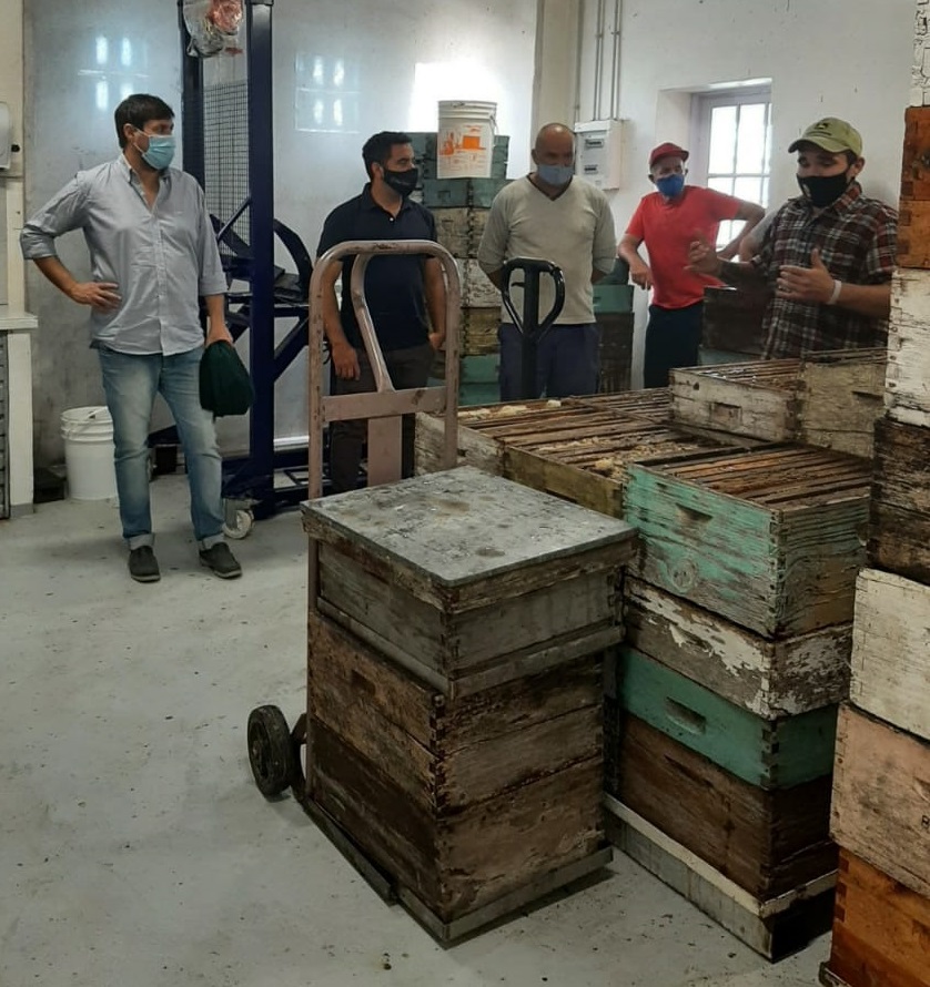 El Diario de San Pedro | Noticias locales y regionales