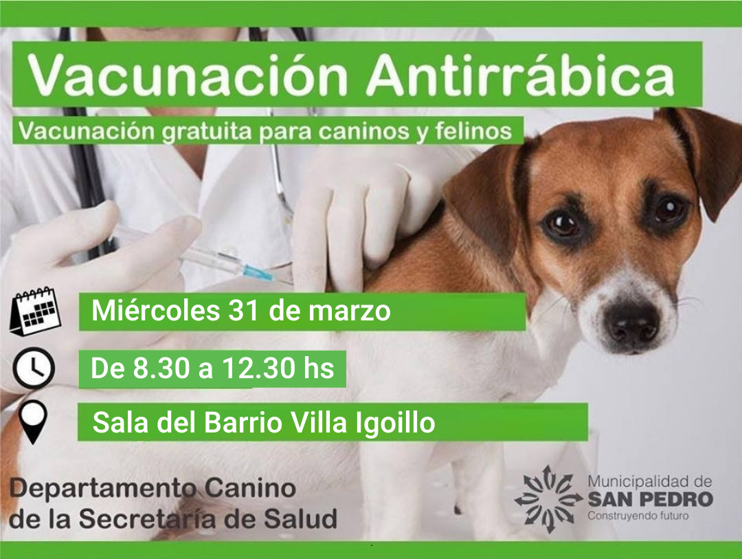 El Diario de San Pedro | Noticias locales y regionales