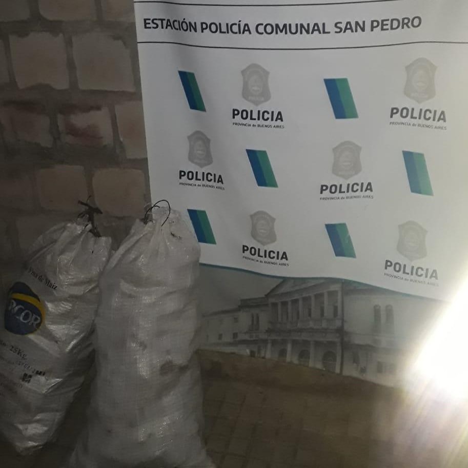 El Diario de San Pedro | Noticias locales y regionales