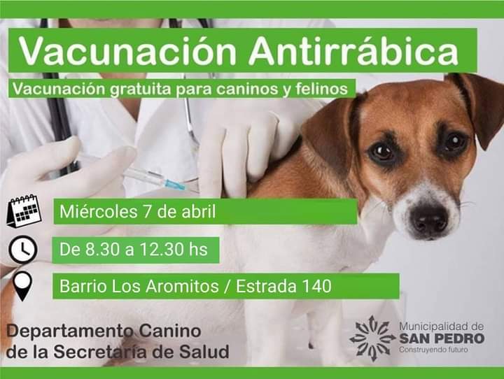 El Diario de San Pedro | Noticias locales y regionales