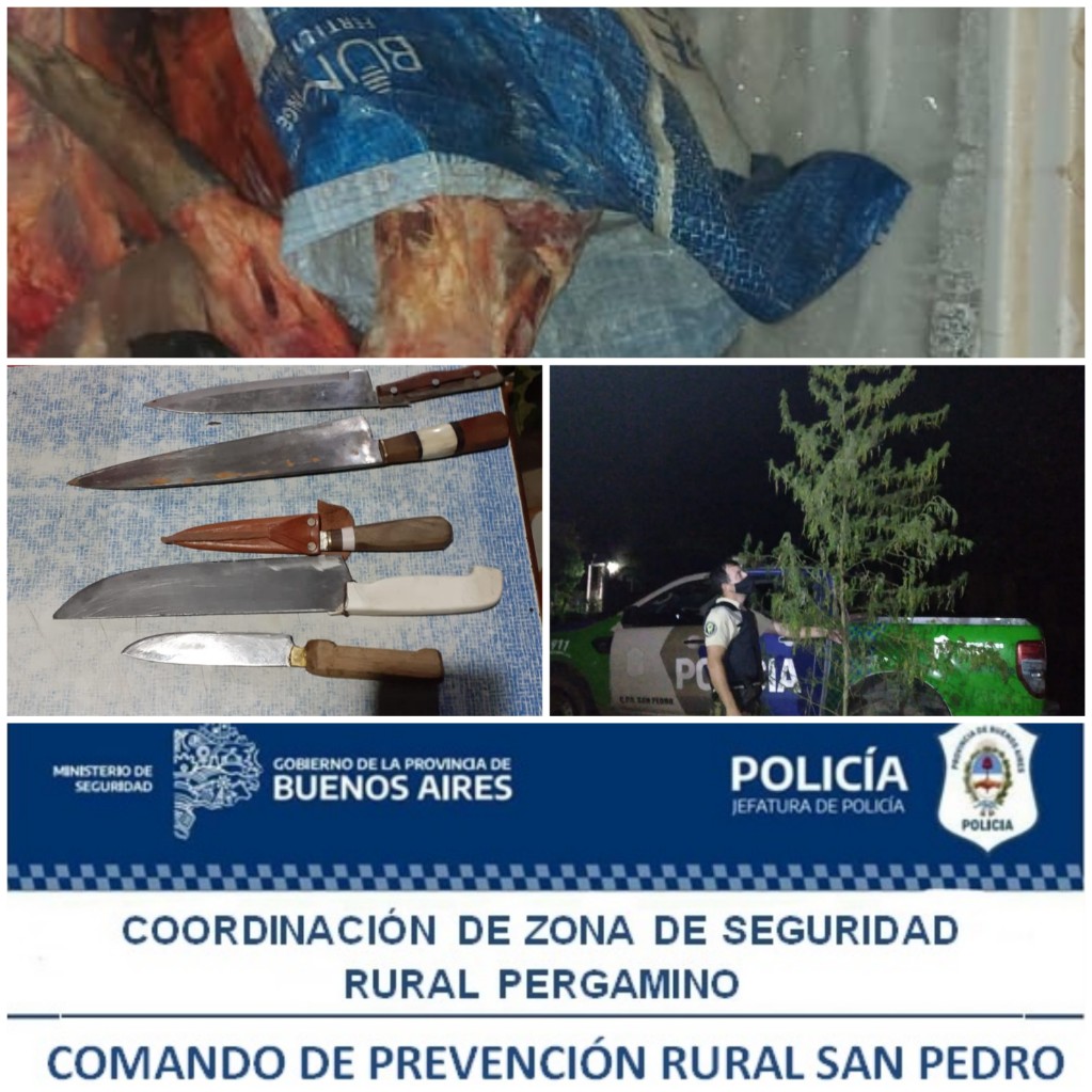 El Diario de San Pedro | Noticias locales y regionales