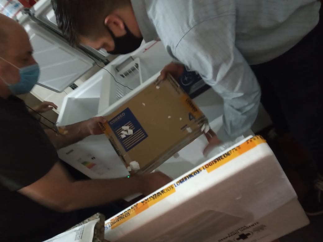 El Diario de San Pedro | Noticias locales y regionales