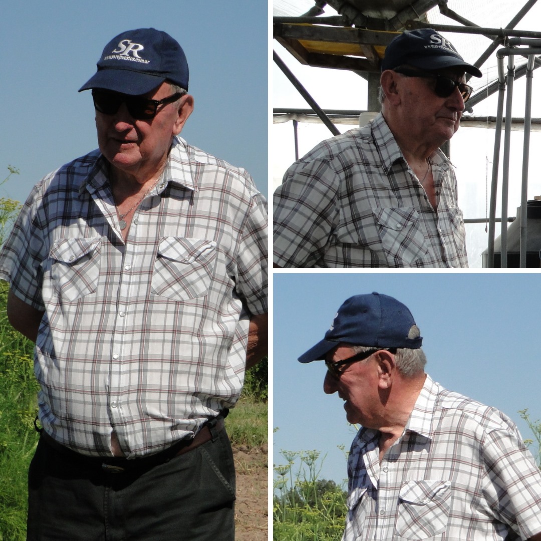 El Diario de San Pedro | Noticias locales y regionales