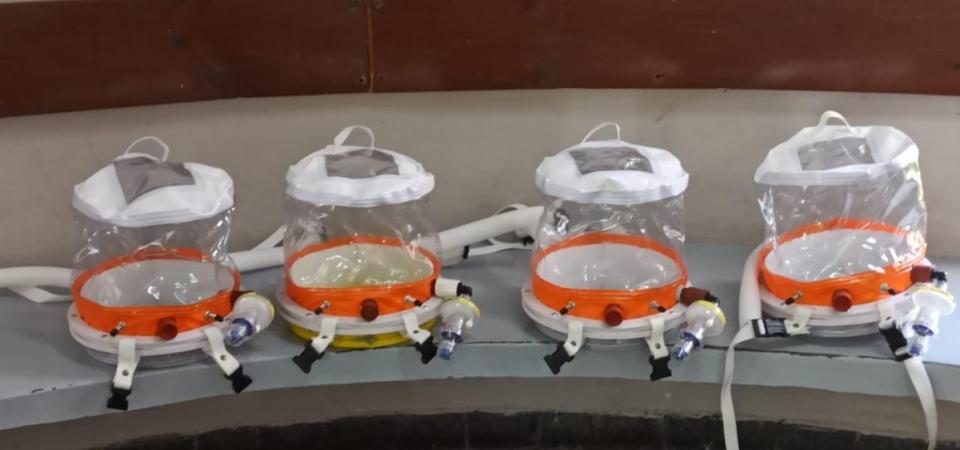 El Diario de San Pedro | Noticias locales y regionales