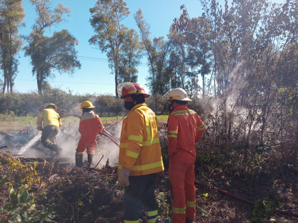 El Diario de San Pedro | Noticias locales y regionales