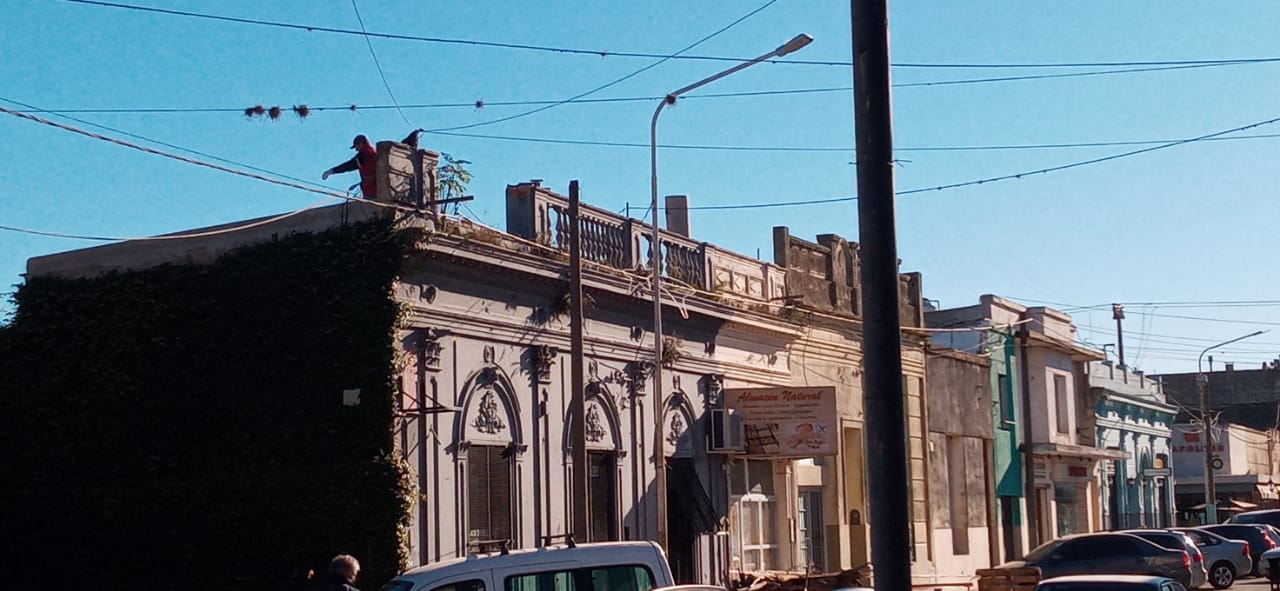 El Diario de San Pedro | Noticias locales y regionales