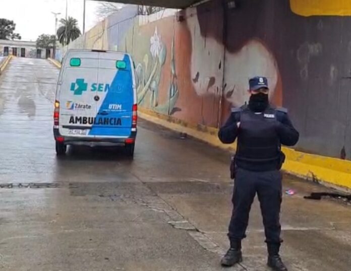 El Diario de San Pedro | Noticias locales y regionales