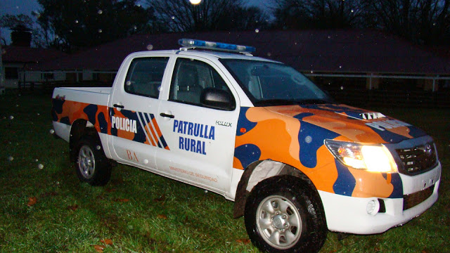 El Diario de San Pedro | Noticias locales y regionales