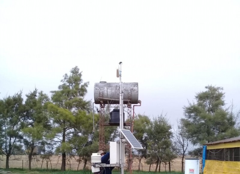 El Diario de San Pedro | Noticias locales y regionales