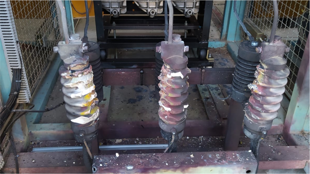 El Diario de San Pedro | Noticias locales y regionales