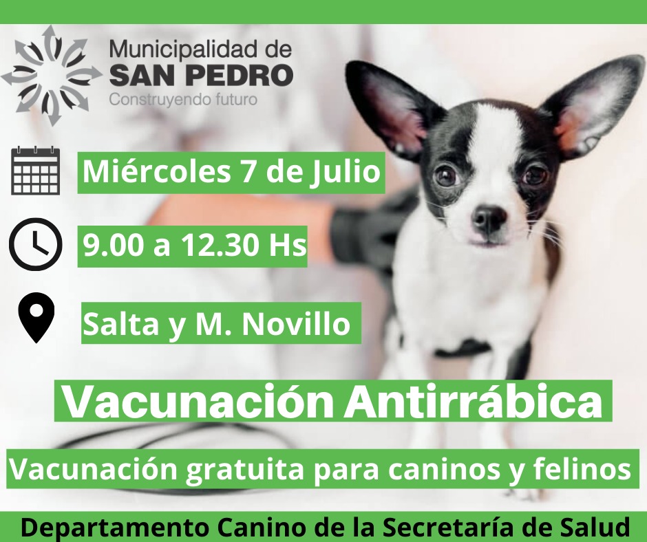 El Diario de San Pedro | Noticias locales y regionales