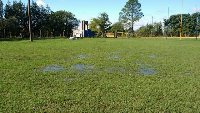 El Diario de San Pedro | Noticias locales y regionales
