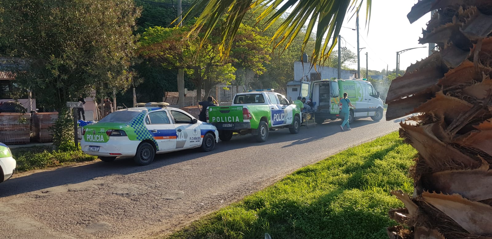 El Diario de San Pedro | Noticias locales y regionales